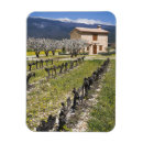 Buscar agricultura imanes Huerto