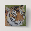 Buscar gatos coloridos chapas General y unisex
