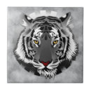 Buscar tigre blanco azulejos Vida silvestre