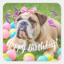 Buscar perro bulldog pegatinas Fiesta