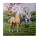 Buscar manzanas azulejos Para ella