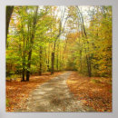 Buscar rastro posters Paisajes