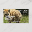 Buscar hyena Hyena de risa