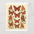 Buscar mariposa roja postales Antiguo