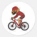 Buscar mtb pegatinas Divertido