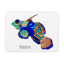 Buscar agua salada imanes Australia