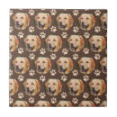 Buscar perros marrones azulejos Animal