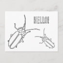 Buscar bichos postales Para niños