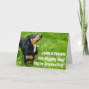 Buscar perritos tarjetas Para niños