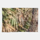 Buscar halcones paños de cocina Raptor