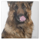 Buscar bruselas posavasos Vertical