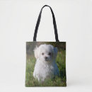 Buscar mullido bolsos Perro