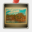 Buscar belize adornos Tropical