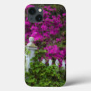 Buscar histórico fundas Flores