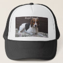 Buscar perro de caza gorras Beagle