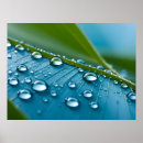 Buscar gotas de agua arte Plantas