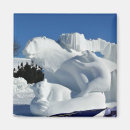 Buscar polarizado imanes Nieve
