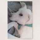 Buscar bufandas puzzles Cachorro