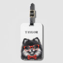 Buscar pomeranian accesorios Adorable