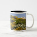 Buscar santa teresa tazas Nadie