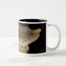 Buscar cáscaras tazas Fauna