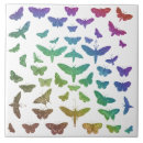 Buscar insect azulejos Mariposas