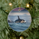 Buscar orcas decoracion Mar
