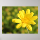 Buscar hogar feliz posters Positivo