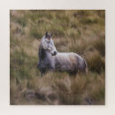 Buscar caballo gris puzzles Yegua