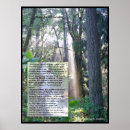 Buscar ecología arte Bosque
