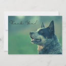 Buscar aus tarjetas Adorable