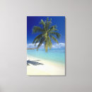 Buscar bora bora lienzos Palmera