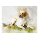 Buscar pintura de labrador posters Acuarela