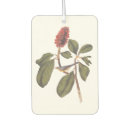 Buscar coche collares General y unisex