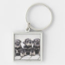 Buscar schnauzer miniatura llaveros Animal