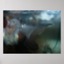 Buscar a pescado posters Goldfish