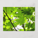 Buscar gotas de lluvia postales General y unisex