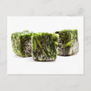 Buscar espinaca postales Hojas