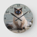 Buscar ojos gato de relojes de pared Animal