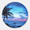 Buscar verano tropical imanes Para todos