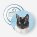 Buscar gato abrebotellas Lindo