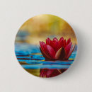 Buscar flor de loto pins Naturaleza
