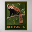 Buscar pandas posters General y unisex