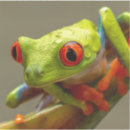 Buscar rica pegatinas Naturaleza