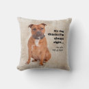 Buscar staffordshire bull terrier cojines Dog
