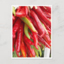 Buscar chile verde postales Rojo
