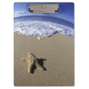 Buscar maui libretas Tropical