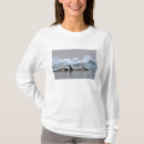 Buscar orca del orcinus camisetas Mamífero marino