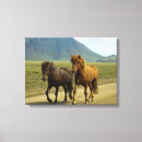 Buscar marrones lienzos Caballo