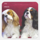 Buscar espeleología pegatinas Cavalier king charles spaniel
